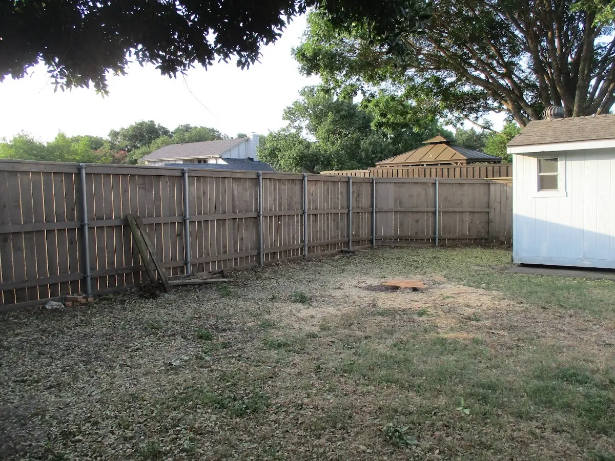Cleared yard after professional tree removal in Collins